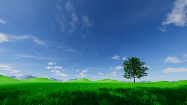 Shaded Meadow